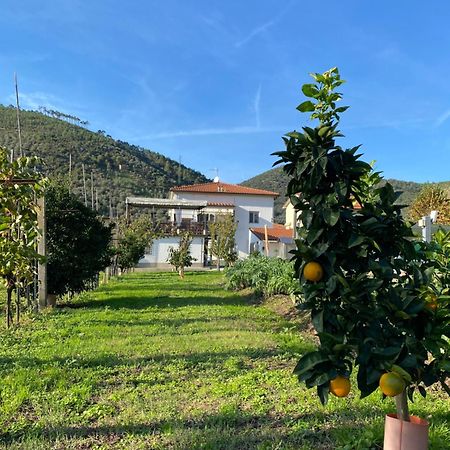 La Tenuta Di Eva Pisa Exterior foto