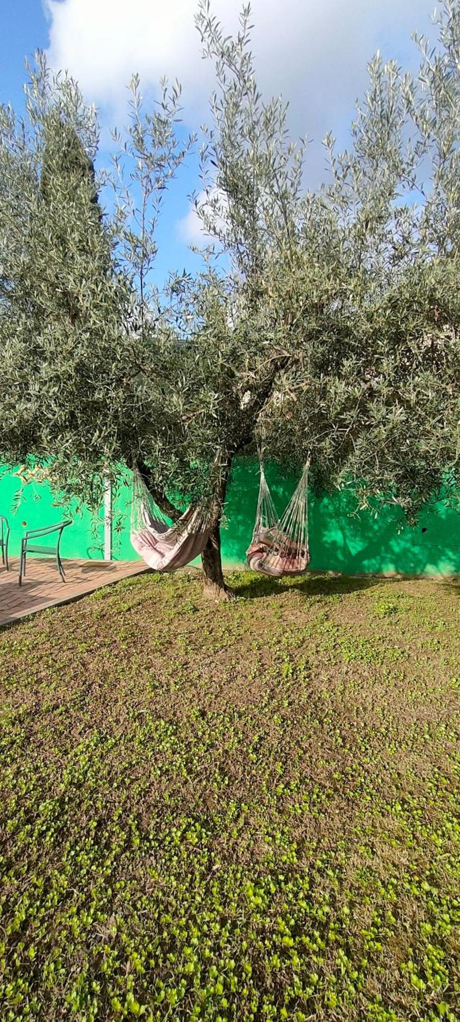 La Tenuta Di Eva Pisa Exterior foto