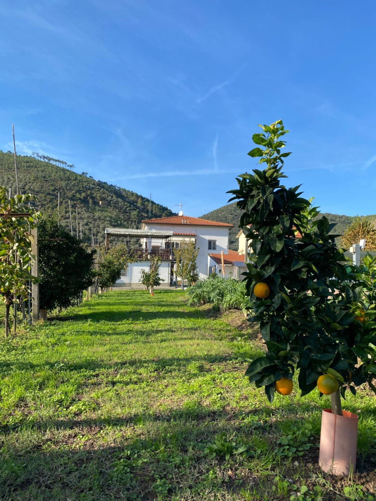La Tenuta Di Eva Pisa Exterior foto