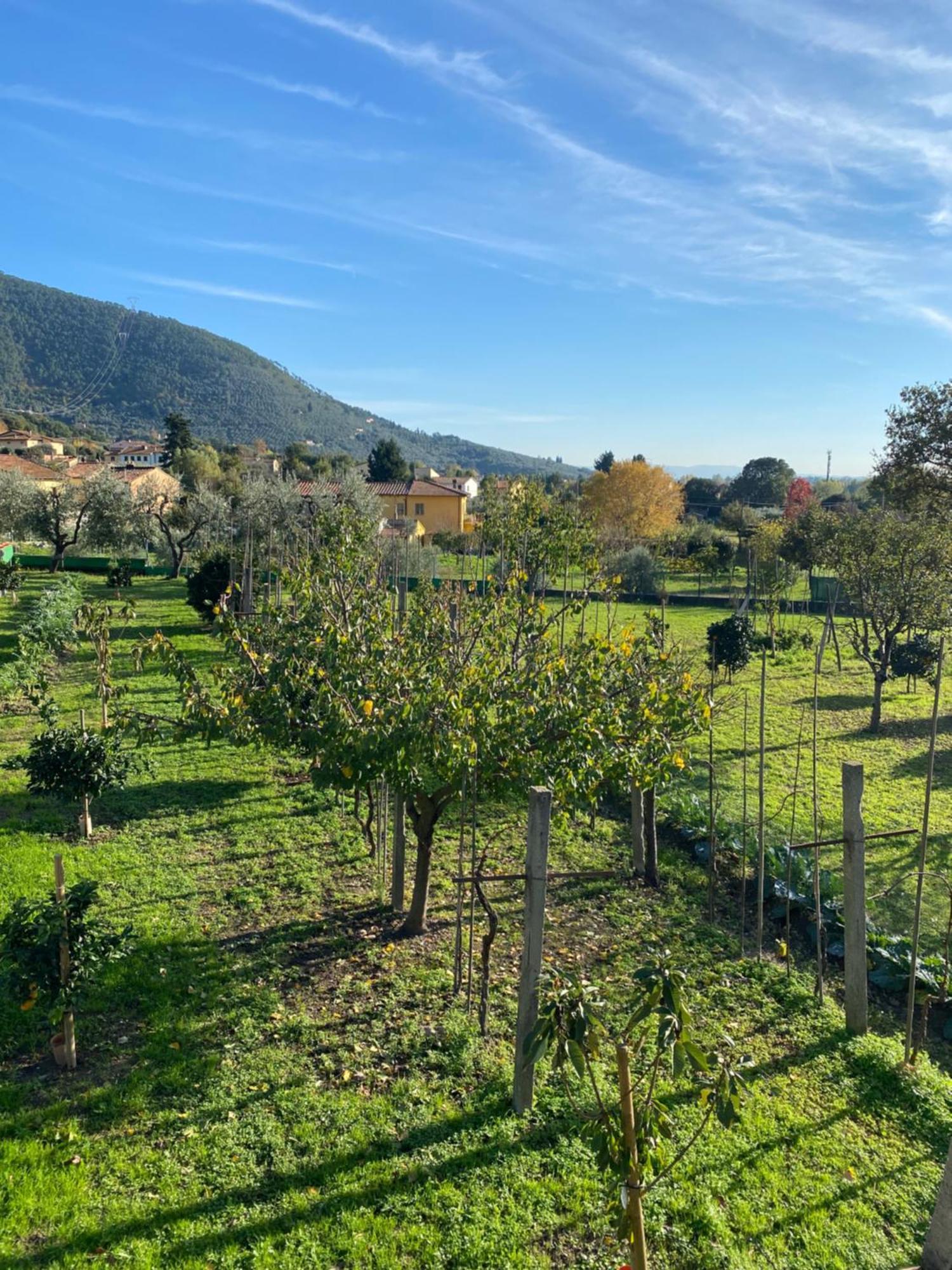La Tenuta Di Eva Pisa Exterior foto
